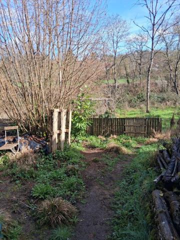 Maison à MERIGNY (36220)