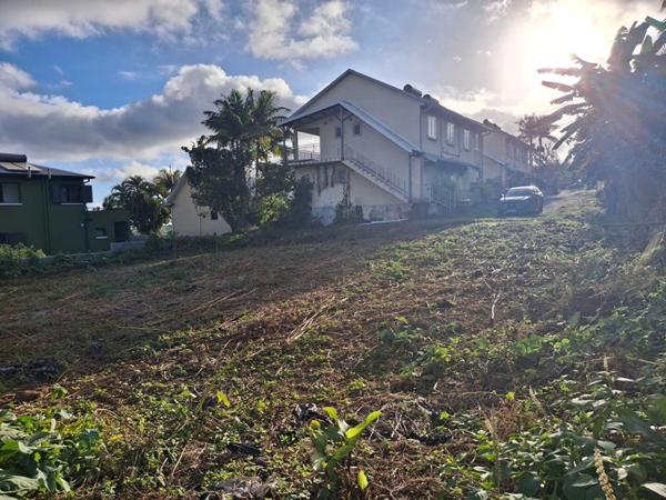 97430 secteur 14ème /Pont d'Yves Terrain 800 m2 borné en zone Uc