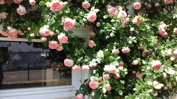 Maison à vendre 87 m² proche Saint Loup Geanges