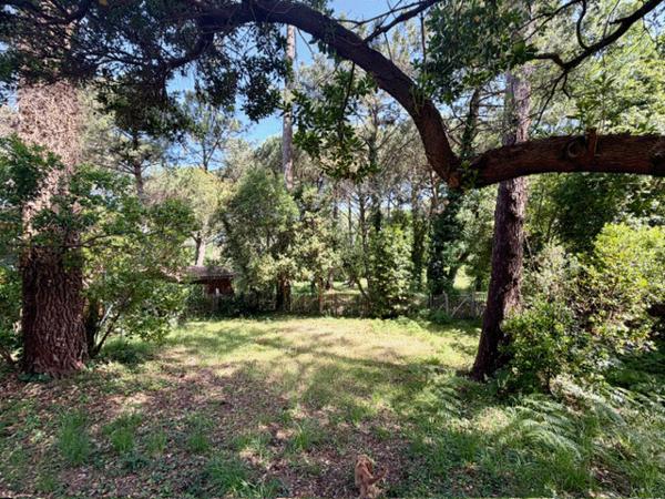 Cap Ferret, Dune de L’Herbe, ravissante villa de 132 m2 (5 chambres), nichée dans un écrin de verdure