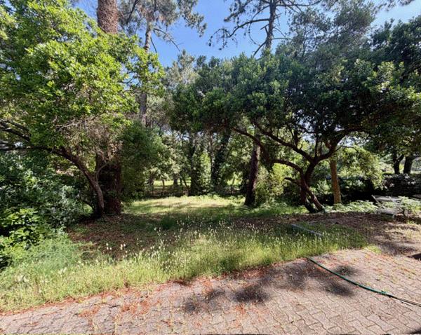 Cap Ferret, Dune de L’Herbe, ravissante villa de 132 m2 (5 chambres), nichée dans un écrin de verdure