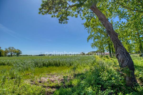 Bourg de Saint-pierre d'Oléron, proche commodités  sur terrain 1300m²: maison 6 chambres  + 2 studios indépendants et 2 garages