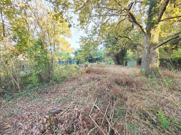 1000 m² plats,  libre de constructeur