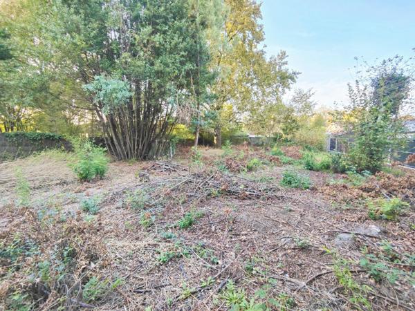 1000 m² plats,  libre de constructeur