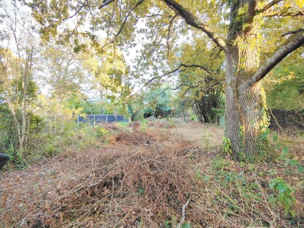 1000 m² plats,  libre de constructeur