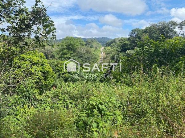 Terrain de loisir, pente douce, carbet, atelier, crique