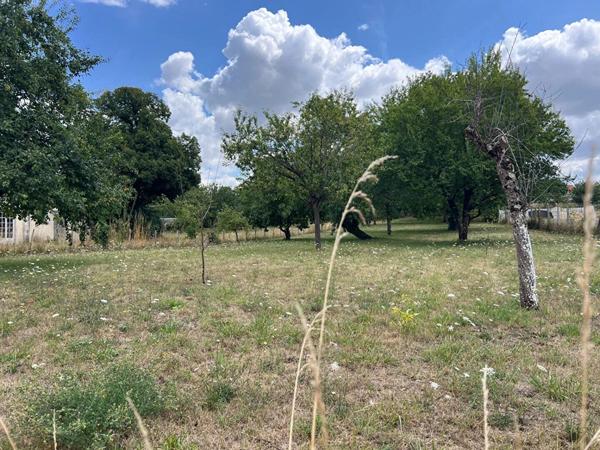 Vente Terrain 1849 m2 à Lhommaizé