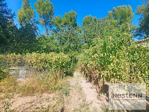 Terrain constructible arboré de plus de 1200m2 - Secteur privilégié de Castelnau Le Lez