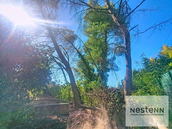 Terrain constructible arboré de plus de 1200m2 - Secteur privilégié de Castelnau Le Lez