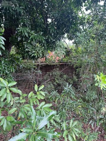 Achat - Terrain à bâtir Saint-Pierre 97250 645 m 2