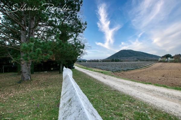 Maison T5 135 m2 avec piscine, terrain arboré et dépendance – environnement lavande et nature – Malataverne