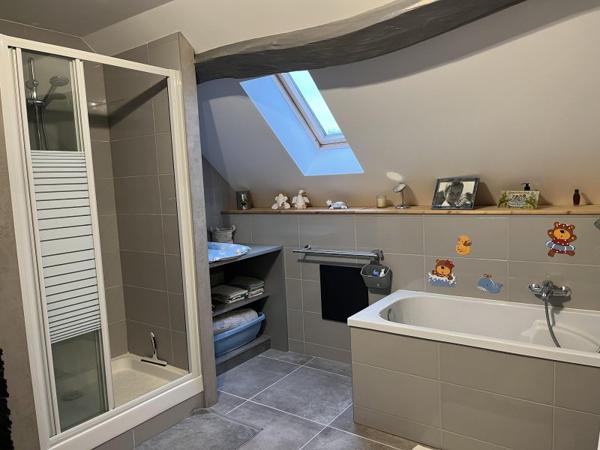 Vente / Maison et grand terrain