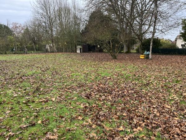 Vente / Maison et grand terrain