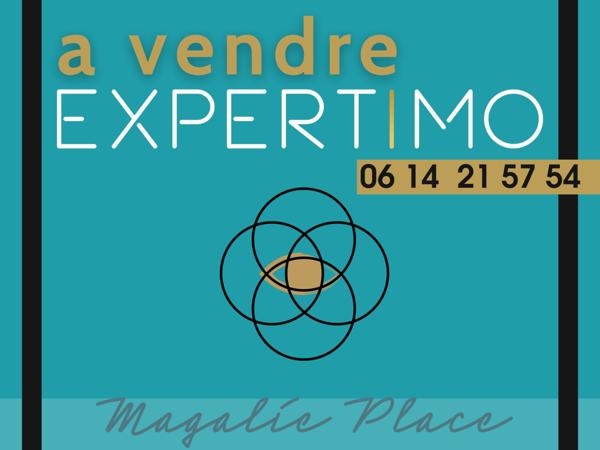 Lyon (69007) RARE 2 studios en 1 lot LYON 7 au calme proche TRAM 2