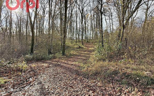 Terrain à vendre    Le Vernet