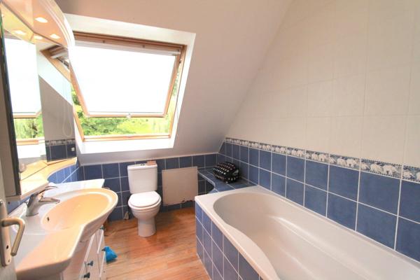 PROPRIÉTÉ 203 M2 AVEC ANNEXES, PARC ARBORÉ,RUISSEAU