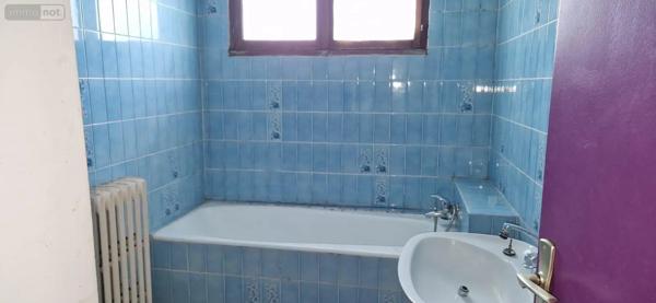 Achat - Maison Châtillon-sur-Indre 36700 12 pièces 315 m 2 857 m 2