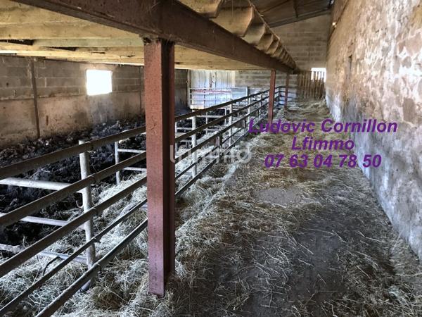 Propriété orientée chevaux : 140m2, 8.8ha, dépendances