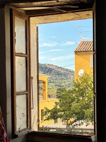 Appartement à vendre 2 pièces CALENZANA (20)