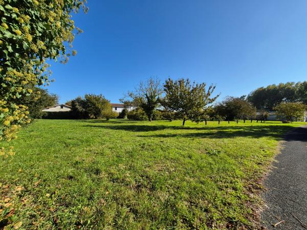 Terrain à vendre SAINT SAVINIEN (17)