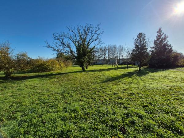 Terrain à vendre SAINT SAVINIEN (17)