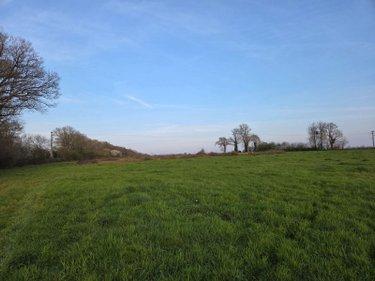 Terrain agricole à vendre à Marcillé-la-Ville en Mayenne (53440), ref : 53075/FC67 Terrain agricole à vendre à Marcillé-la-Ville en Mayenne (53440), ref : 53075/FC67 Terrain agricole à vendre à Marcillé-la-Ville en Mayenne (53440), ref : 53075/FC67
