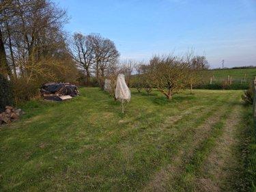 Terrain agricole à vendre à Marcillé-la-Ville en Mayenne (53440), ref : 53075/FC67 Terrain agricole à vendre à Marcillé-la-Ville en Mayenne (53440), ref : 53075/FC67 Terrain agricole à vendre à Marcillé-la-Ville en Mayenne (53440), ref : 53075/FC67