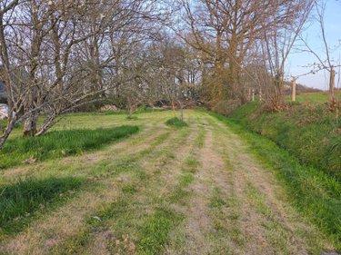 Terrain agricole à vendre à Marcillé-la-Ville en Mayenne (53440), ref : 53075/FC67 Terrain agricole à vendre à Marcillé-la-Ville en Mayenne (53440), ref : 53075/FC67 Terrain agricole à vendre à Marcillé-la-Ville en Mayenne (53440), ref : 53075/FC67