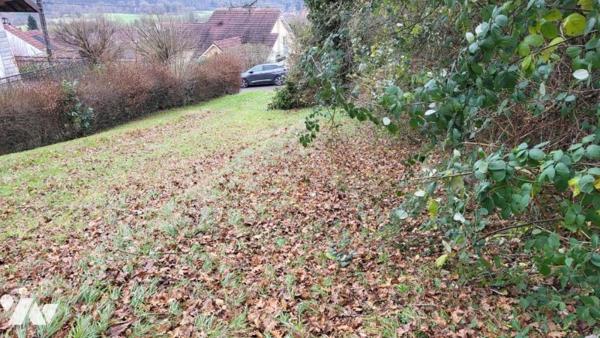 BART, parcelle de 37 ares de terrain dont moitié constructible