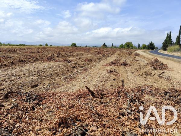 Terrain à vendre 32 300 m² Salses-le-Château