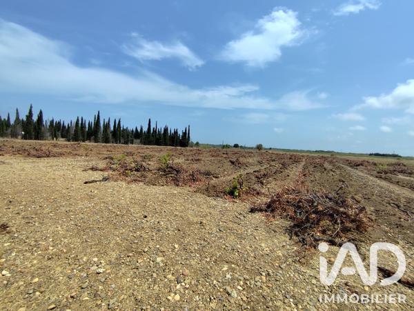 Terrain à vendre 32 300 m² Salses-le-Château