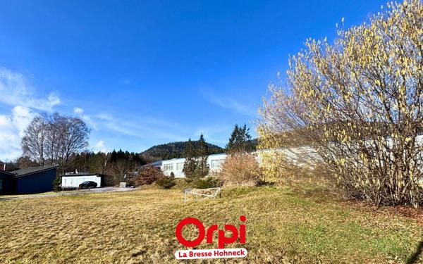 Terrain à vendre    Saint-Amé