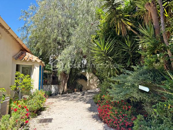 Maison de ville atypique en duplex 2 pièces + espace bureau, située au calme en hyper centre.

Cette charmante maison mitoyenne d’un côté séduira les amateurs de biens de caractère grâce à son atmosphère chaleureuse et ses volumes atypiques.

Au rez-de-chaussée, vous découvrirez un agréable séjour avec cuisine ouverte, sublimé par une belle hauteur sous plafond apportant luminosité et sensation d’espace.

À l’étage, un palier pouvant aisément accueillir un espace bureau dessert une grande chambre mansardée avec vélux ainsi qu’une salle d’eau avec WC.

Idéalement située dans le centre- ville tout en bénéficiant d’un environnement paisible, cette maison constitue un bien rare, parfait pour une résidence principale ou un pied-à-terre en bord de mer.

Les + : ouvertures PVC double-vitrage, climatisation réversible.