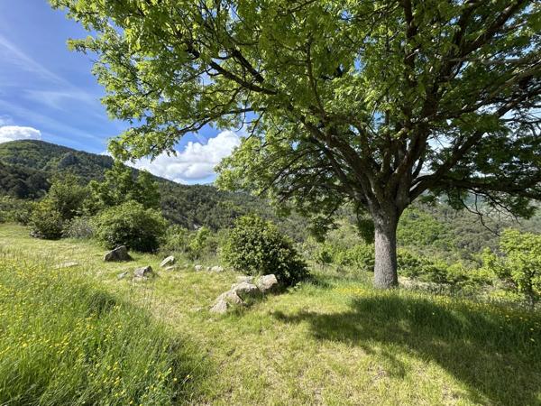 Immobilier Digne-les-Bains (04000) – Maison 195.58m2 – 546 000 €