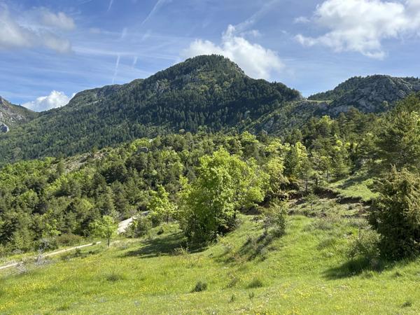 Immobilier Digne-les-Bains (04000) – Maison 195.58m2 – 546 000 €