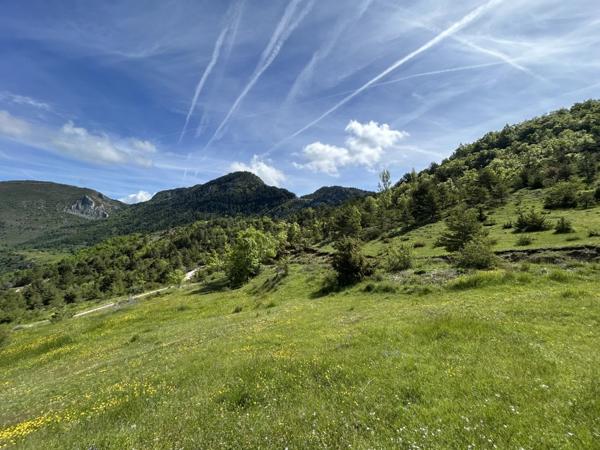 Immobilier Digne-les-Bains (04000) – Maison 195.58m2 – 546 000 €