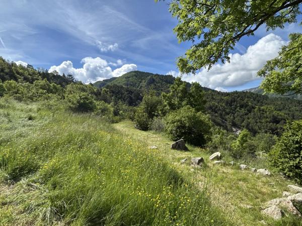 Immobilier Digne-les-Bains (04000) – Maison 195.58m2 – 546 000 €