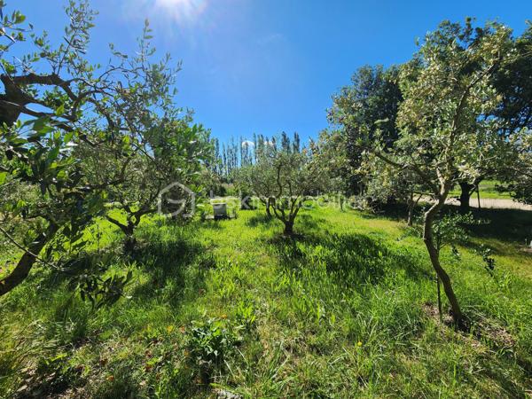 Sur la commune de Mérindol, en campagne et dans un environnement agréable, découvrez cette maison d’environ 110 m² actuellement divisée en deux appartements totalement indépendants, offrant de nombreuses possibilités.

L’ensemble est situé au premier étage et bénéficie de deux terrasses permettant son accès.

Un espace de type 2 et d'environ 51 m2, comprend une pièce de vie climatisée avec cuisine équipée et aménagée. la chambre d'environ 20 m2, peut facilement être modulée afin de créer une pièce supplémentaire (chambre, bureau, dressing......). Une salle d'eau ainsi qu'un wc  indépendant le complète.

Le second espace, de type 3 et rénové, propose une agréable pièce de vie avec vue dégagée sur les champs ainsi qu'une cuisine moderne et fonctionnelle. La première chambre, exposée plein sud et d'une superficie de plus de 11 m2 dispose d'un point d'eau. La deuxième chambre de plus de 12 m2 donne accès à la salle d'eau.

Le rez-de-chaussée offre de nombreux espaces annexes comprenant un garage, plusieurs zones de stockage ainsi qu’une buanderie. Une cuisine d’été ouverte sur une terrasse permet de profiter pleinement des extérieurs et de la vue dégagée.

Ces espaces de vie peuvent facilement être réunis afin de ne former qu'une seule et grande habitation.

Implantée sur une terrain d'environ 1500 m2 agrémenté d'une vingtaine d'oliviers, cette propriété dispose également de nombreux atouts : assainissement autonome conforme, toiture isolée, forage, garage et plusieurs places de stationnement.

Un bien aux multiples possibilités, idéal pour les amoureux de calme et de nature.