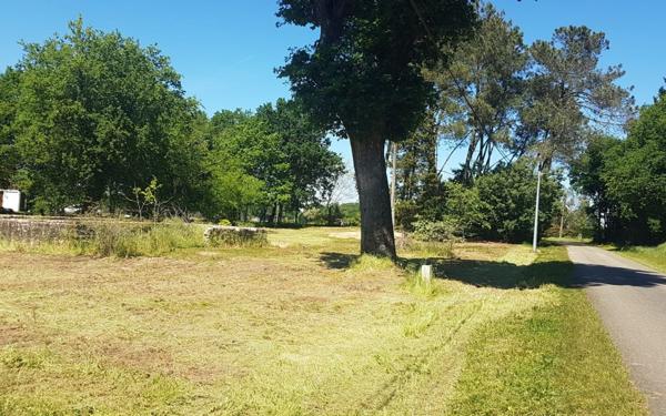 Terrain à vendre    Saint-Perdon