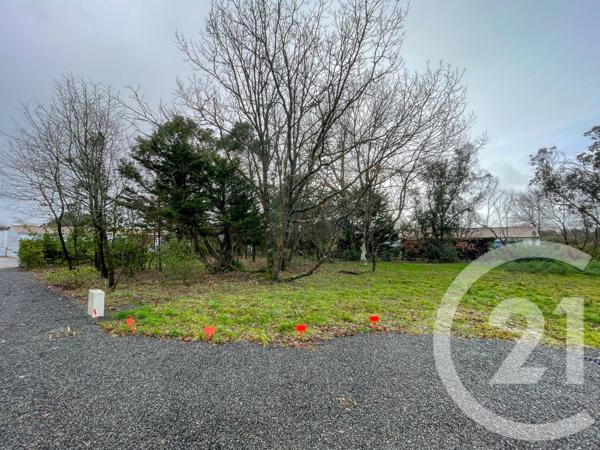 Terrain à vendre  732 m2 CHATEAU D OLONNE - 85