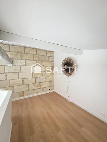 Magnifique appartement duplex vue sur Dordogne