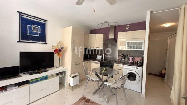 Studio 25 m2 rénové et parking sécurisée - Saint Cyprien Plage