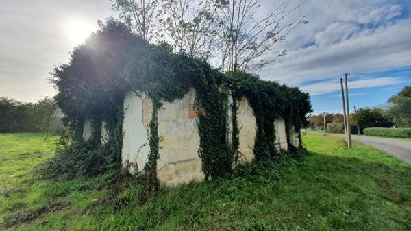 Maison à vendre |  Lesparre-Médoc |  5 pièces | 180 m²