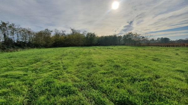 Maison à vendre |  Lesparre-Médoc |  5 pièces | 180 m²