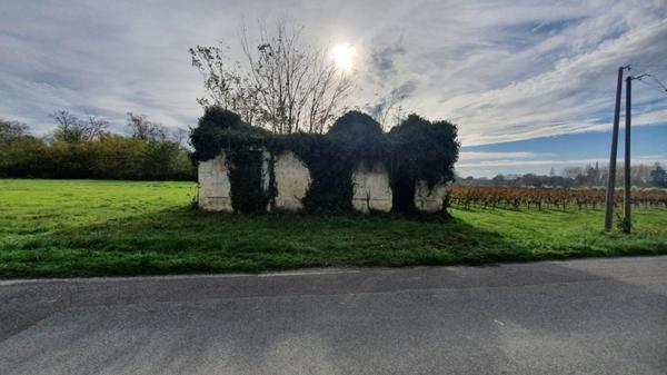 Maison à vendre |  Lesparre-Médoc |  5 pièces | 180 m²