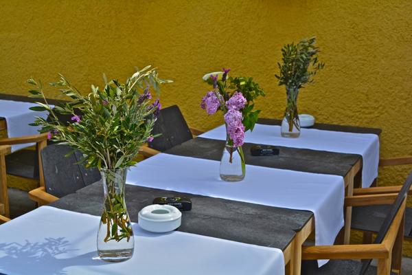 Vente local commercial 45 m2- Fond de commerce Nonza - terrasse 70 m2