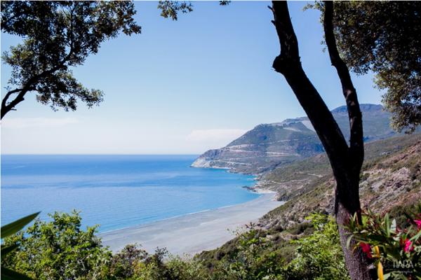 Vente local commercial 45 m2- Fond de commerce Nonza - terrasse 70 m2