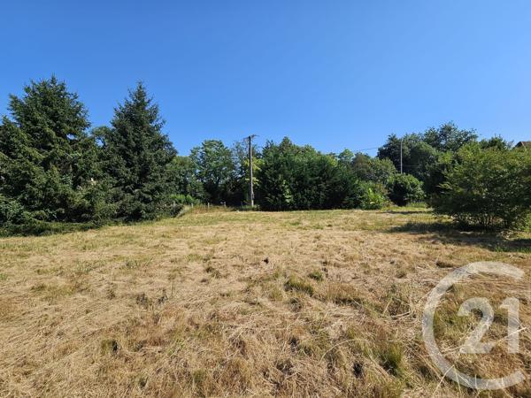 Terrain à vendre  1003 m 2   MONT  - 64