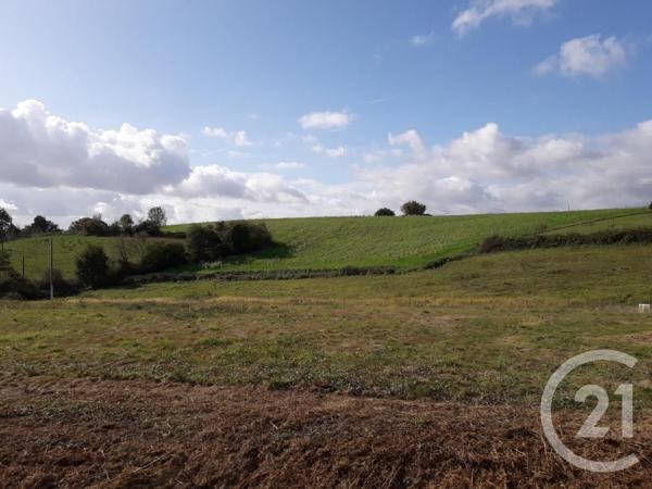 Terrain à vendre  1003 m 2   MONT  - 64