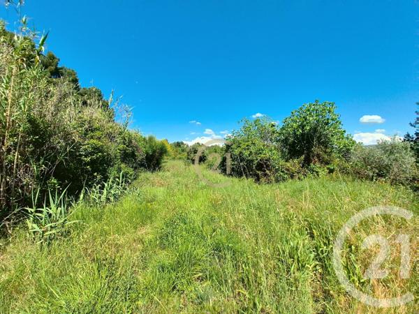 Terrain à vendre  3958 m2 ST CHAMAS - 13